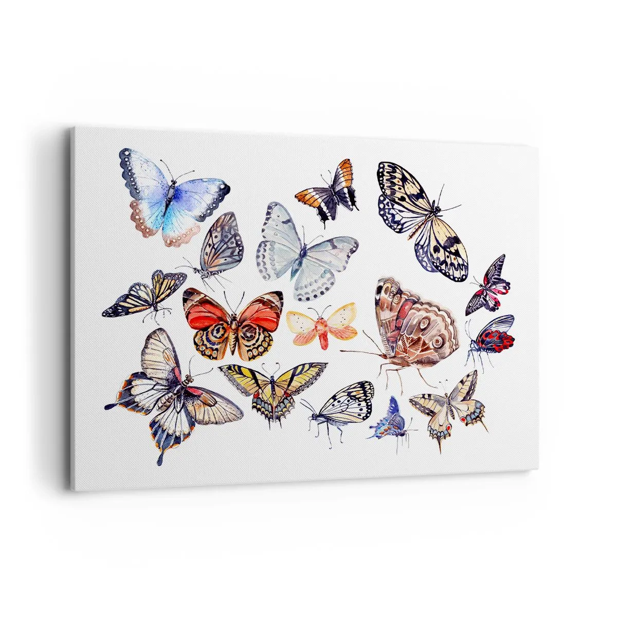 Obraz na plátně - Krajkový, barevný roj - 100x70 cm