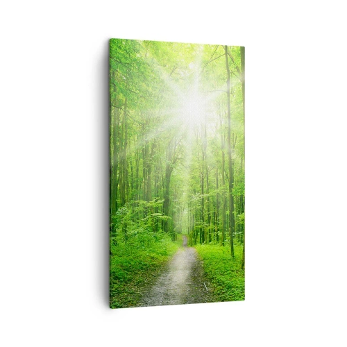 Obraz na plátně - Zelená katedrála - 45x80 cm