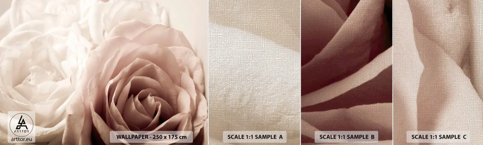 Vzor Fototapety Premium Canvas - V srdci růže - Růže, Květiny, Romantický - 100x30 cm