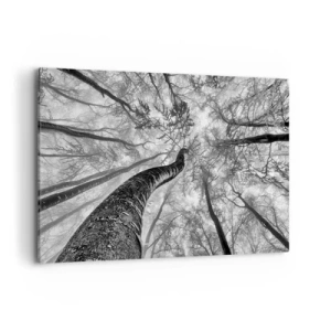 Obraz na plátně - Závod ke světlu - 120x80 cm