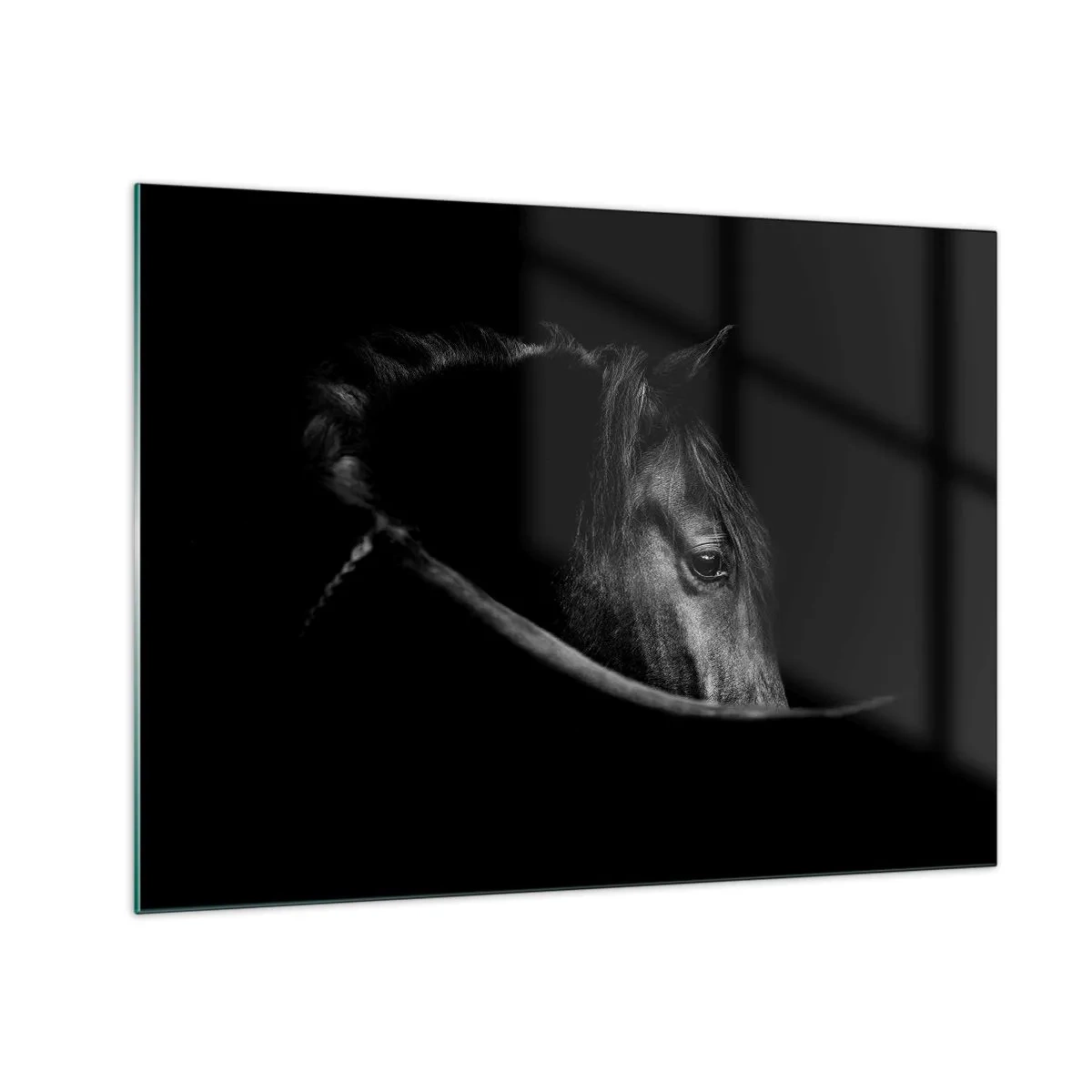 Obraz na skle - Profil černého koně ve stínu s viditelným okem - 70x50cm - Černý kníže - Moderní nástěnná dekorace do obývacího pokoje a ložnice ARTTOR
