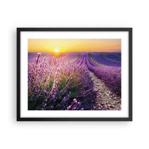 Plakát v černém rámu - Voňavý lán - 50x40 cm
