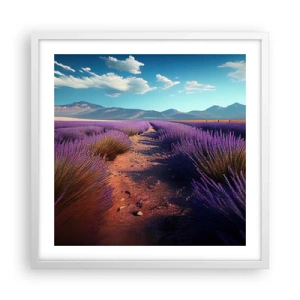 Plakát v bílém rámu - Voňavá pole - 50x50 cm
