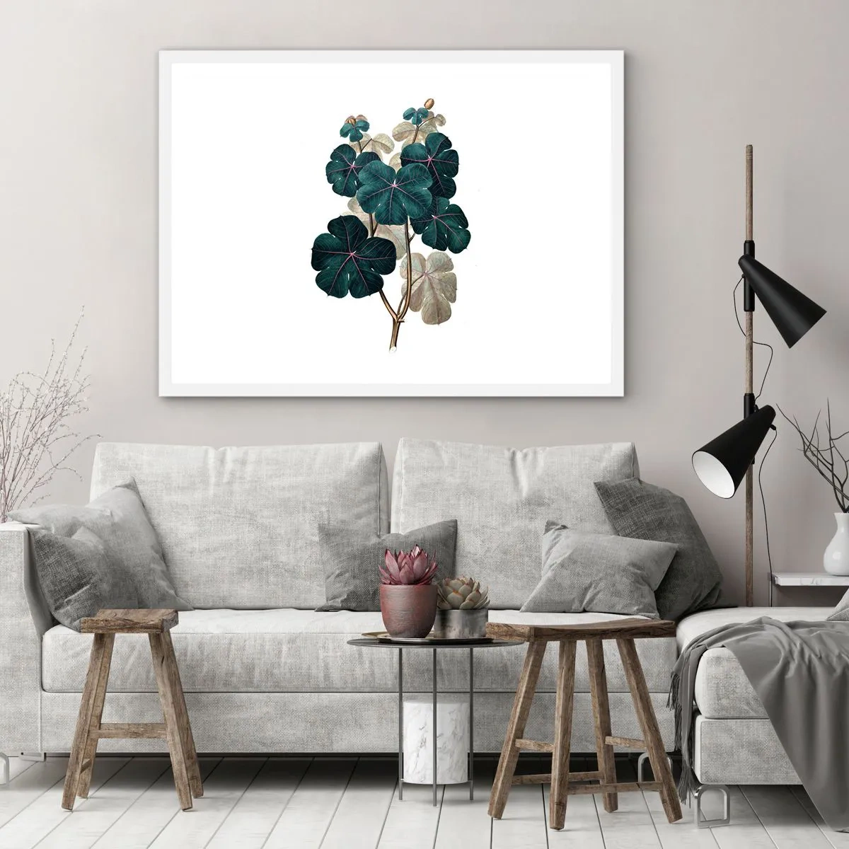 Plakát v bílém rámu - Ze starého herbáře - 100x70 cm