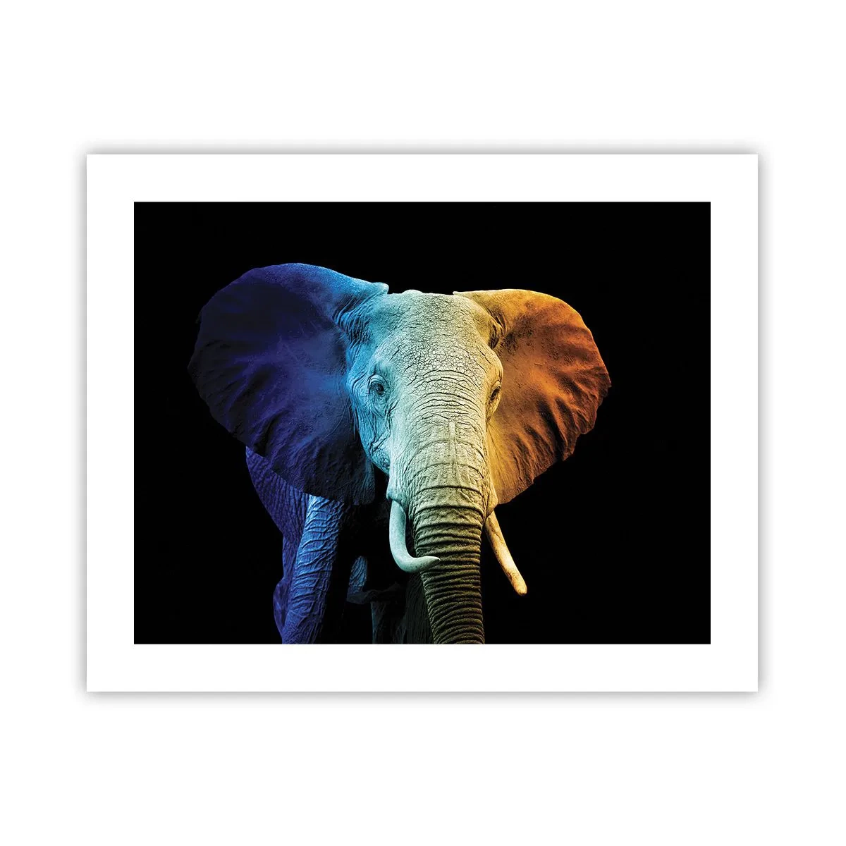 Plakát - Výstřední muž, ale ne podivín - 50x40 cm