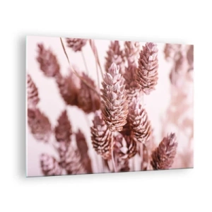 Obraz na skle - Sušené klasy trávy v odstínech pudrově růžové - 70x50cm - Zdánlivě nenápadné - Moderní nástěnná dekorace do obývacího pokoje a ložnice ARTTOR