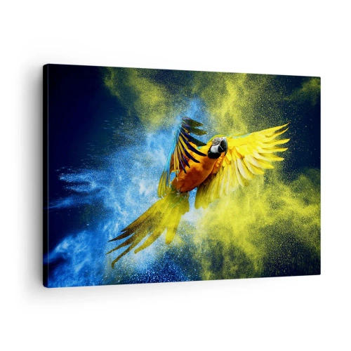 Obraz na plátně - Papoušek za letu na pozadí barevných explozí žluté a modré. - 70x50cm - V modro-zlatém prachu - Moderní nástěnná dekorace do obývacího pokoje a ložnice ARTTOR