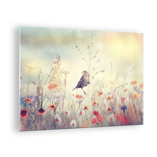 Obraz na skle - Pták na květinové louce na slunci - 70x50cm - Portrét ptáka s loukou v pozadí - Moderní nástěnná dekorace do obývacího pokoje a ložnice ARTTOR