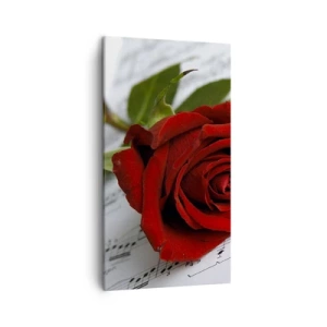 Obraz na plátně - Hudba pocitu v šarlatové - 45x80 cm