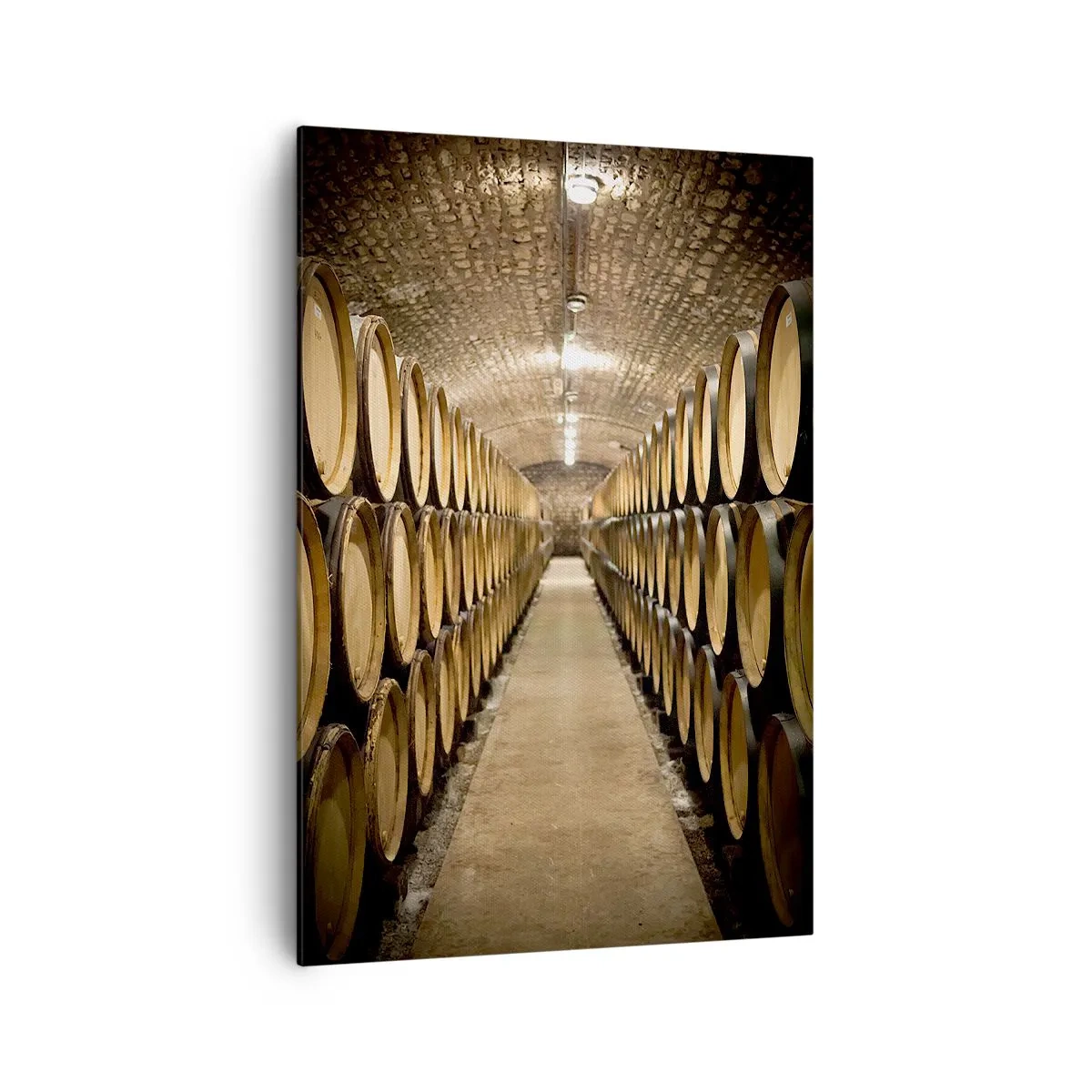 Obraz na plátně - V cihlovém sklepě - 70x100 cm