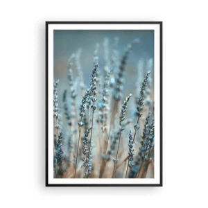 Plakát v černém rámu - Voňavý lán - 70x100 cm