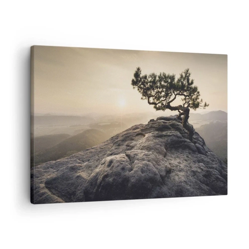 Obraz na plátně - Osamělý strom na skalnatém vrcholu ve slunečním světle - 70x50cm - Život vždy vítězí - Moderní nástěnná dekorace do obývacího pokoje a ložnice ARTTOR