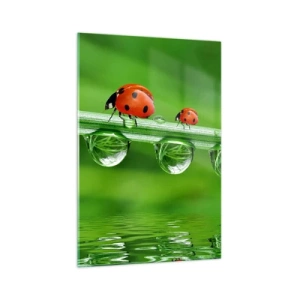 Obraz na skle - Na cestách celé léto - 70x100 cm