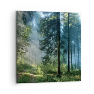 Obraz na plátně - Zářící za úsvitu - 60x60 cm