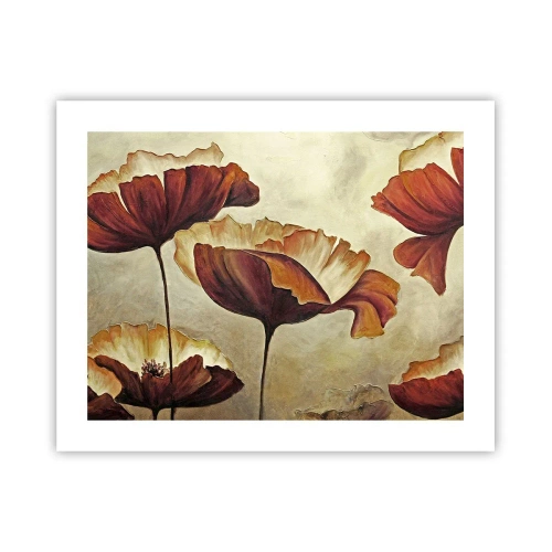 Plakát - Lán louky - 50x40 cm