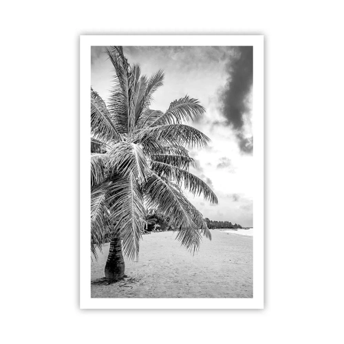 Plakát - Když toužíš po samotě…. - 61x91 cm