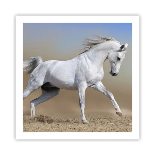 Plakát - Nejkrásnější arabská pohádka - 60x60 cm