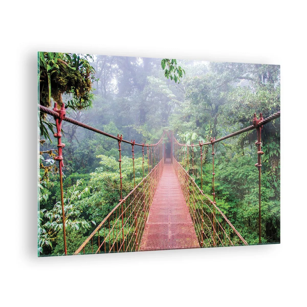 Obraz na skle - Červený visutý most nad zelenou džunglí v mlze - 70x50cm - Zavěšený nad korunami - Moderní nástěnná dekorace do obývacího pokoje a ložnice ARTTOR