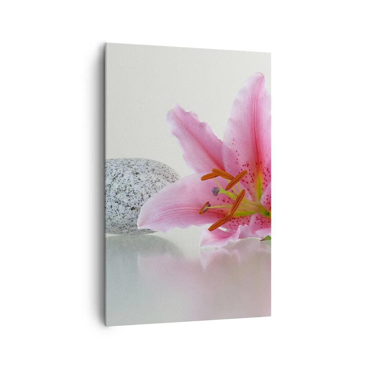 Obraz na plátně - Studie v růžové, šedé a bílé - 80x120 cm