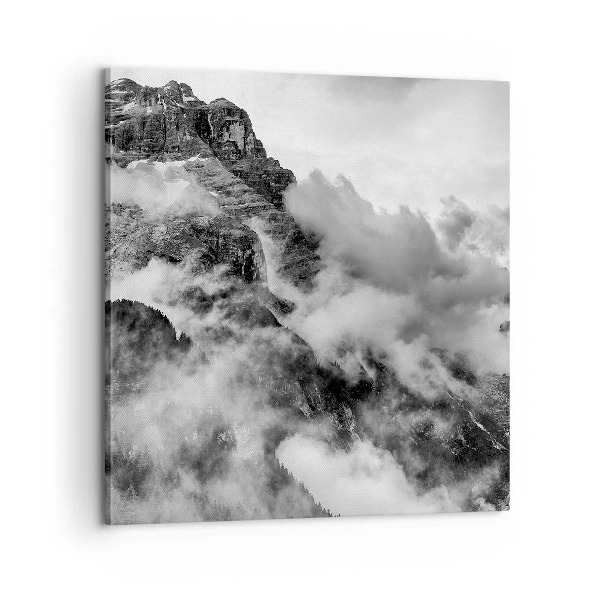 Obraz na plátně - Krásné a kruté - 60x60 cm