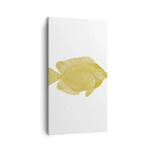Obraz na plátně - Prostě ryba - 45x80 cm