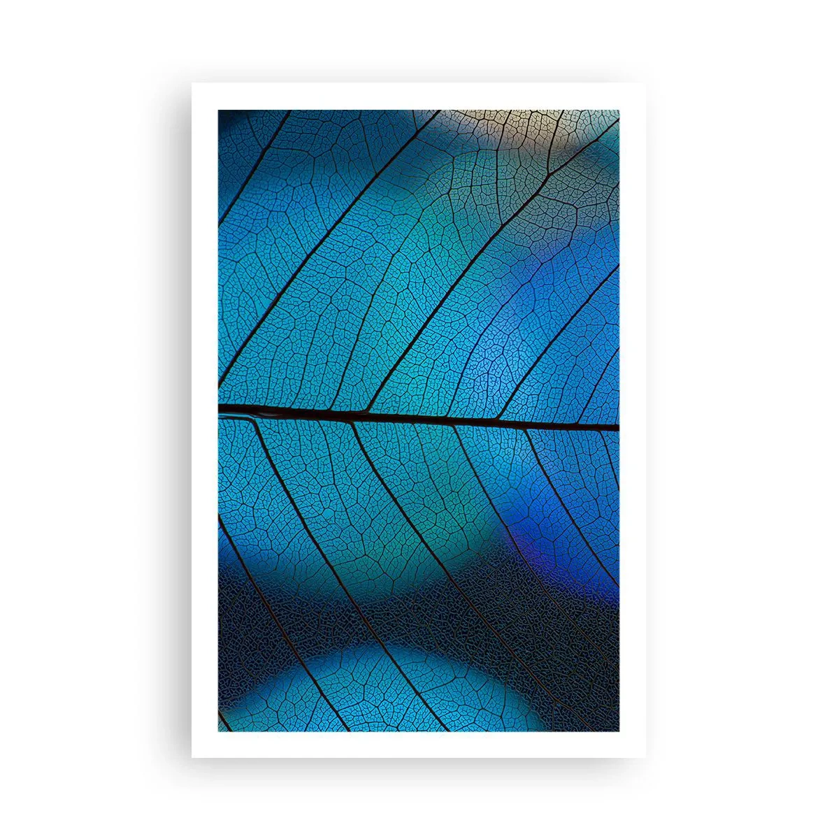 Plakát - Až do detailů - 61x91 cm