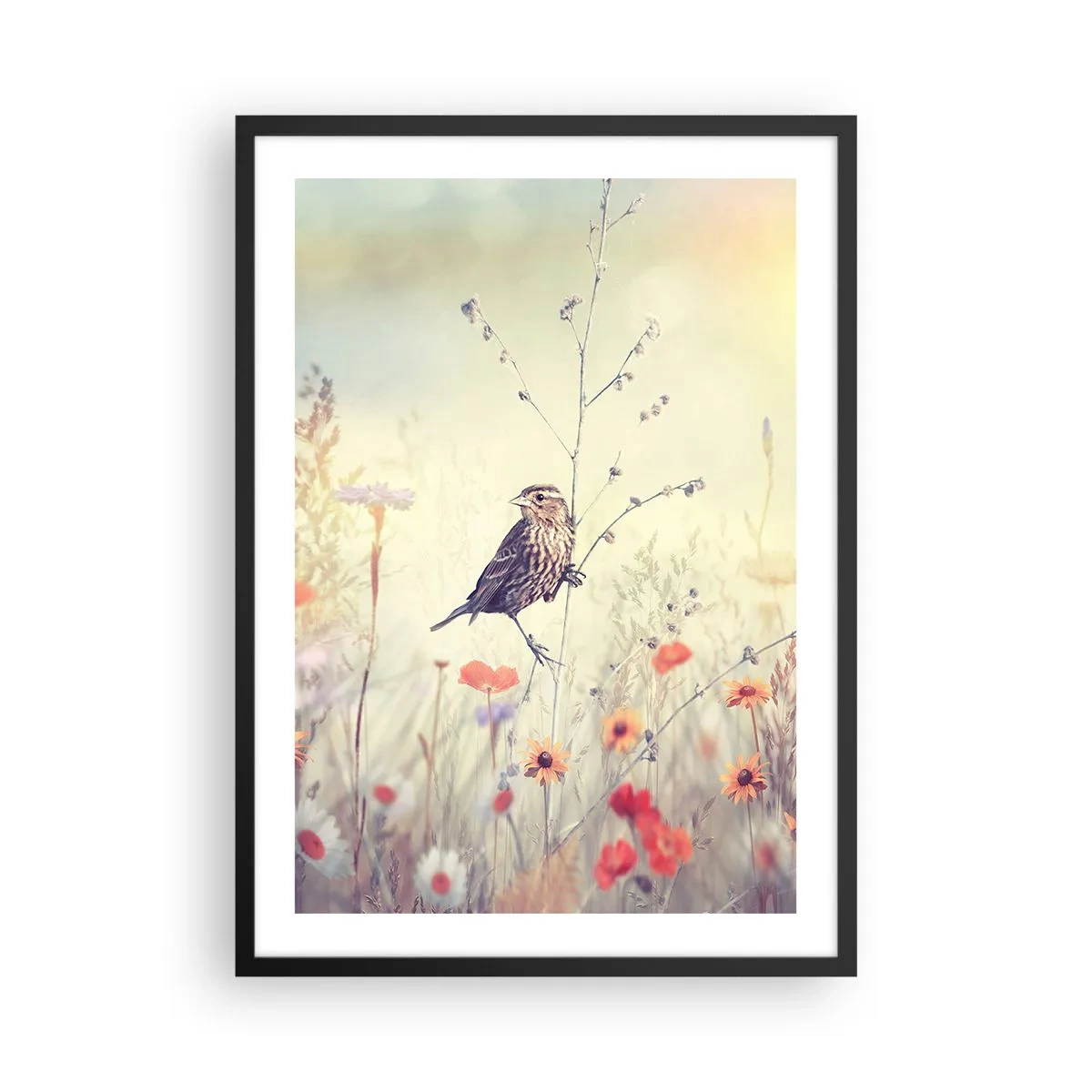 Plakát v černém rámu - Pták na louce v jemných pastelových barvách - 50x70cm - Portrét ptáka s loukou v pozadí - Moderní nástěnná dekorace do obývacího pokoje a ložnice ARTTOR