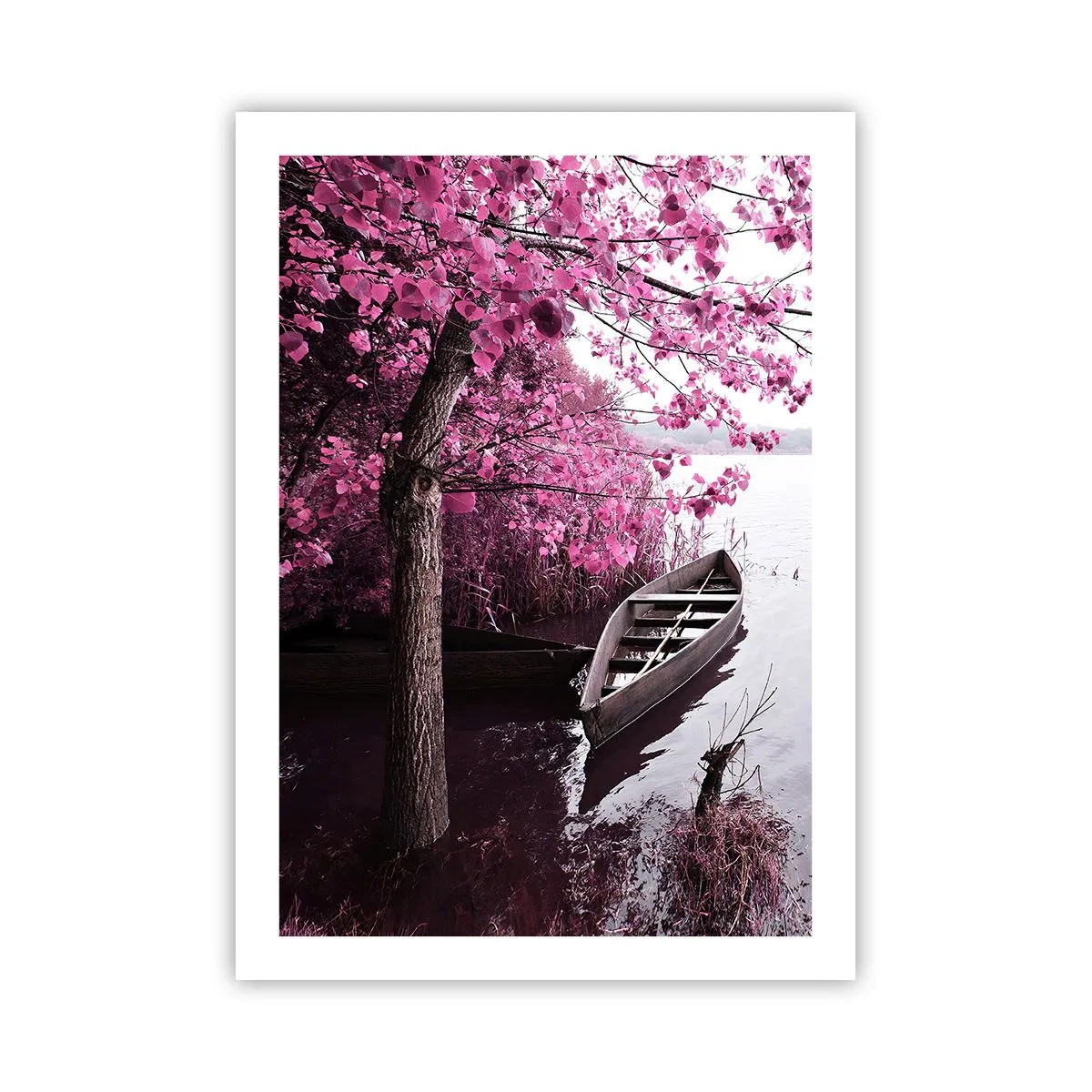 Plakát - V růžovém tichu - 50x70 cm