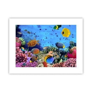 Plakát - Co víme o životě… - 40x30 cm