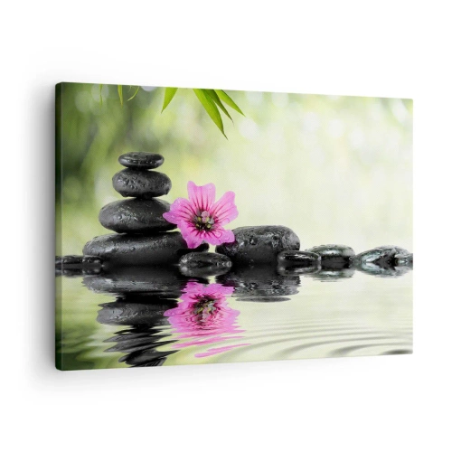 Obraz na plátně - Zenové kameny a růžový květ odrážející se ve vodě - 70x50cm - Čas pro duši - Moderní nástěnná dekorace do obývacího pokoje a ložnice ARTTOR