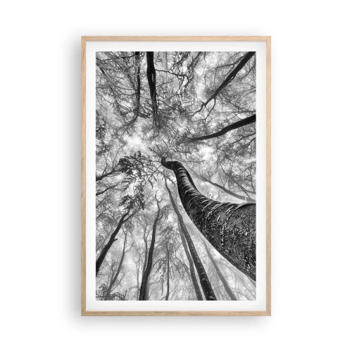 Plakát v rámu světlý dub - Závod ke světlu - 61x91 cm