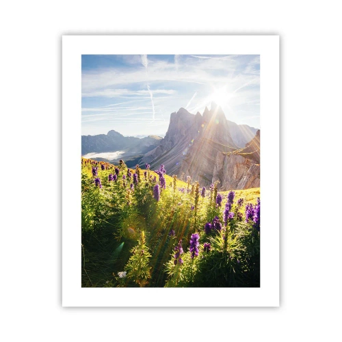 Plakát - Tajemný život bylin - 40x50 cm