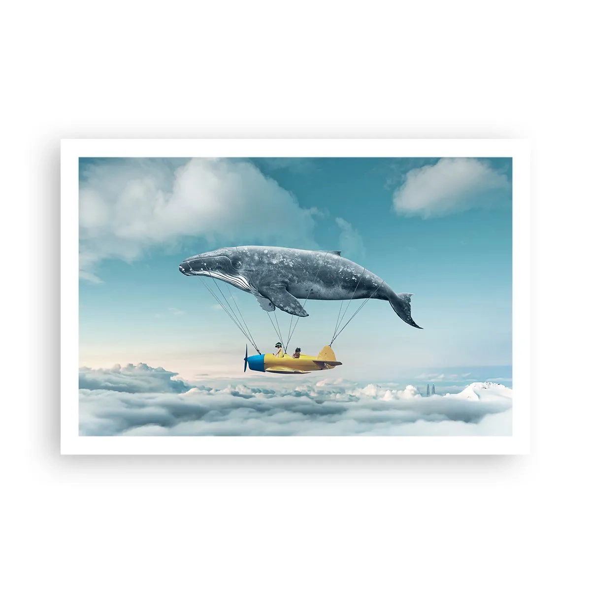 Plakát - Proč ne? - 91x61 cm