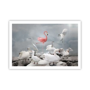 Plakát - Kde jsem se tu vzal? - 91x61 cm