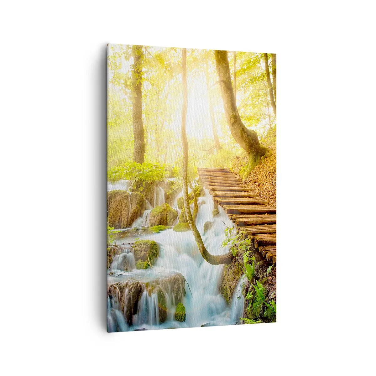 Obraz na plátně - Vytoužený chlad - 80x120 cm