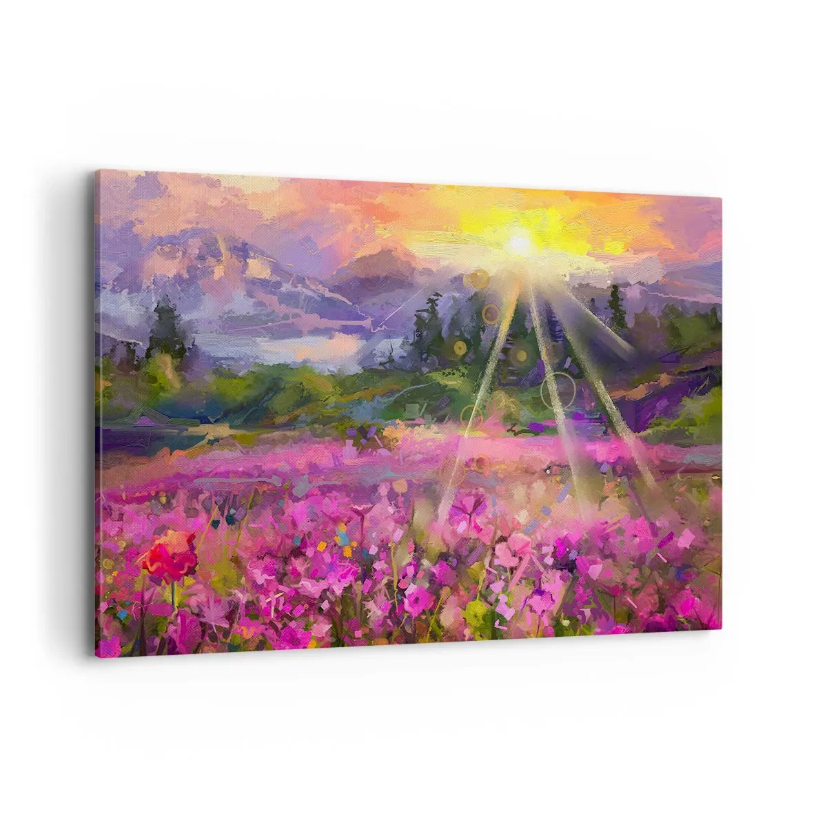 Obraz na plátně - V údolí v péči slunce - 120x80 cm