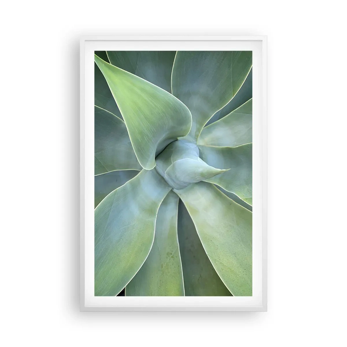 Plakát v bílém rámu - Zrození zeleně - 61x91 cm