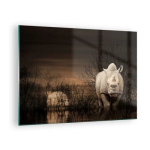 Obraz na skle - Nosorožec proti zapadajícímu slunci - 70x50cm - Bílý proti přírodě - Moderní nástěnná dekorace do obývacího pokoje a ložnice ARTTOR