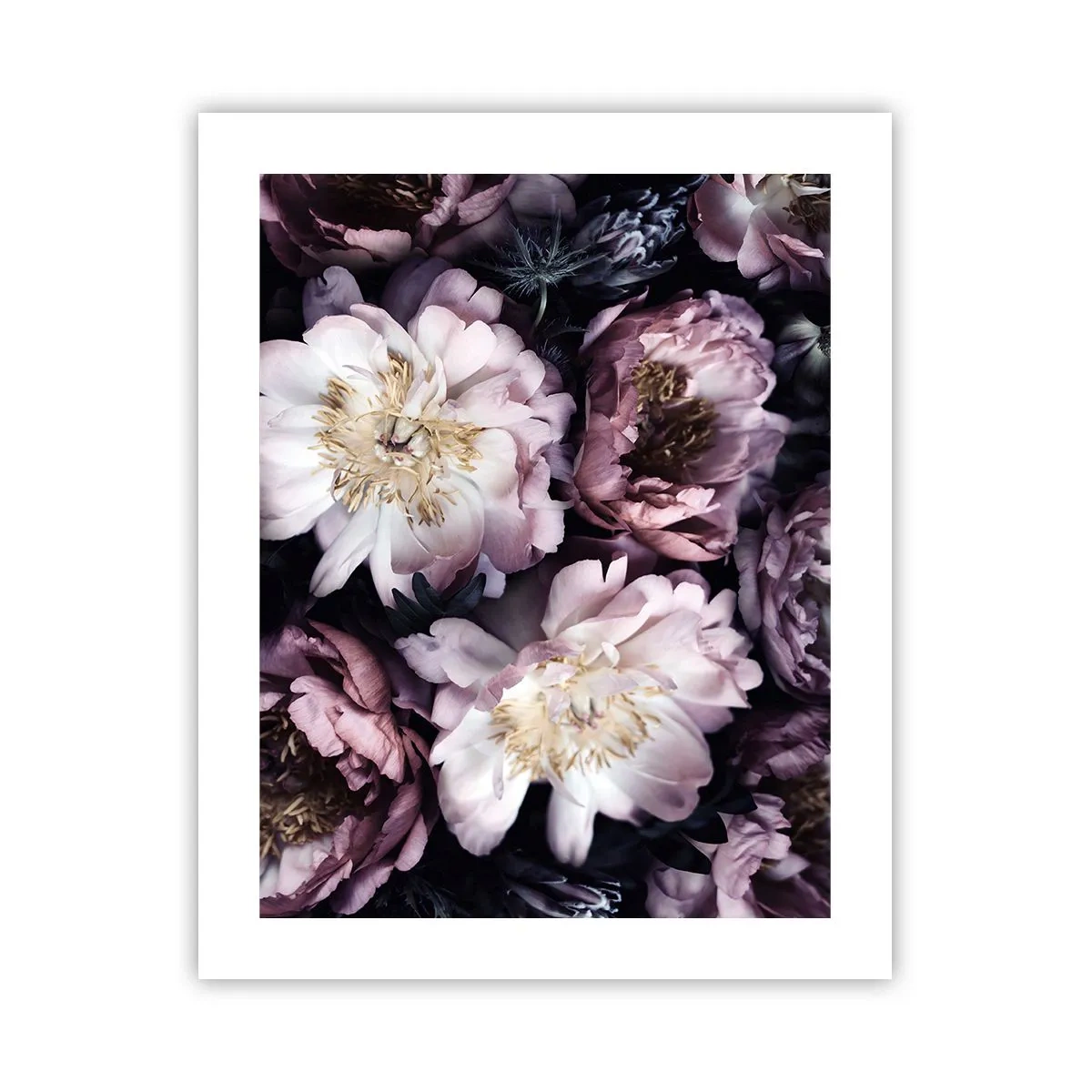 Plakát - Kytice ve starém stylu - 40x50 cm