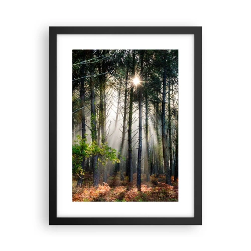 Plakát v černém rámu - Lesní divočina - 30x40 cm