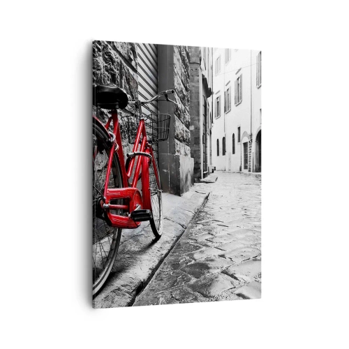 Obraz na plátně - Skutečná krása nestárne - 50x70 cm