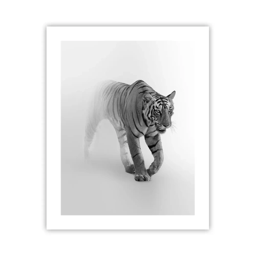 Plakát - Přikrčený v mlze - 40x50 cm