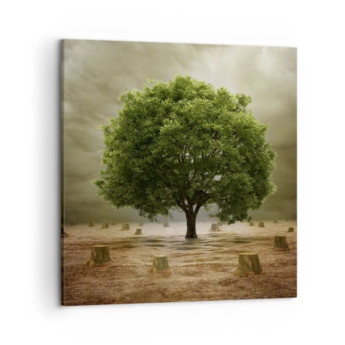 Obraz na plátně - Celá naděje - 50x50 cm