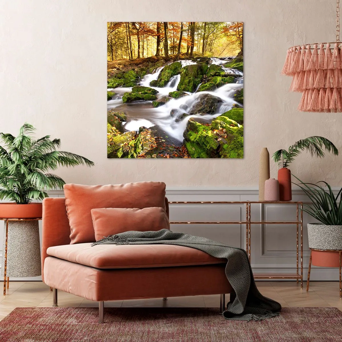Obraz na plátně - Chvatem podzimním lesem - 50x50 cm