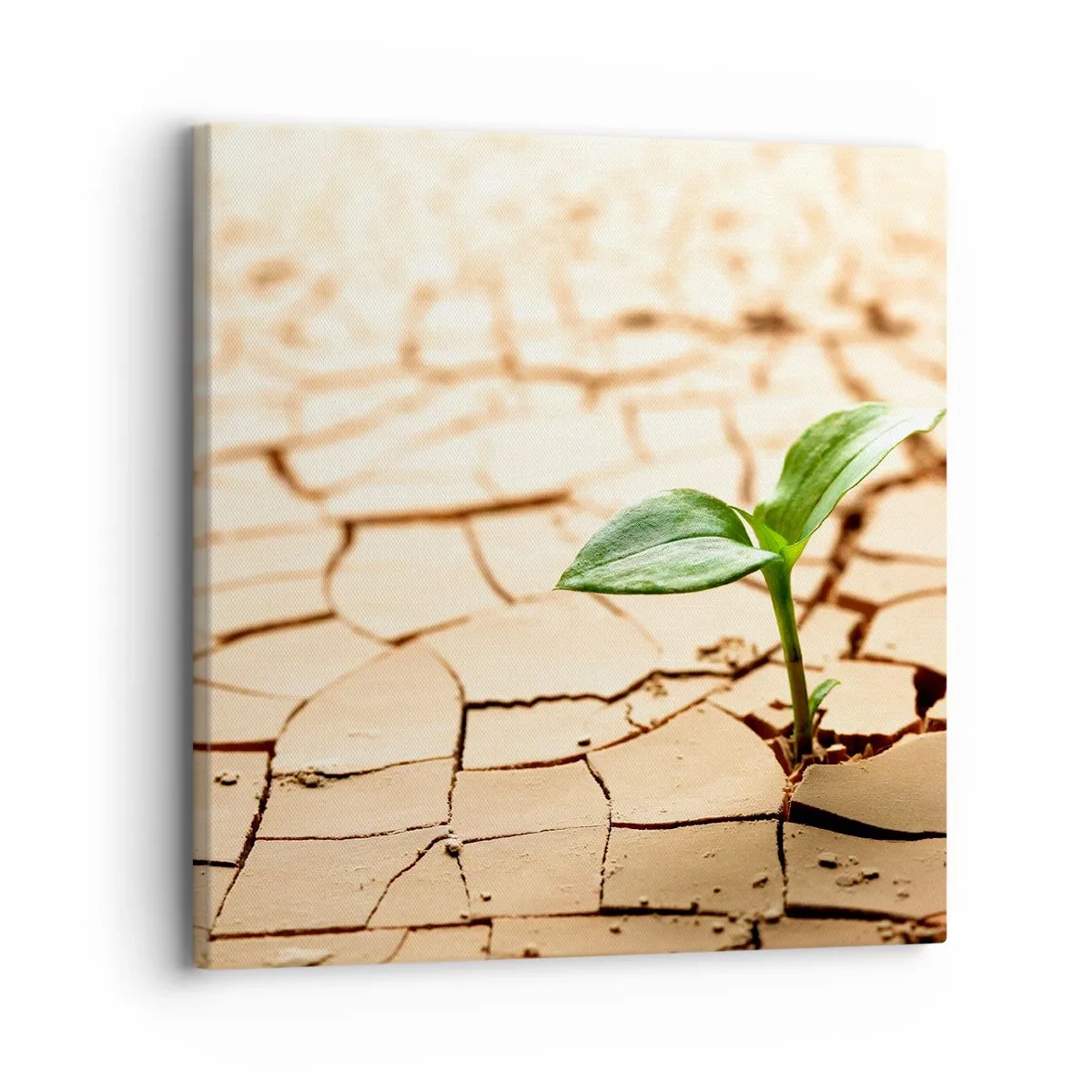 Obraz na plátně - Nespoutaná síla života - 30x30 cm