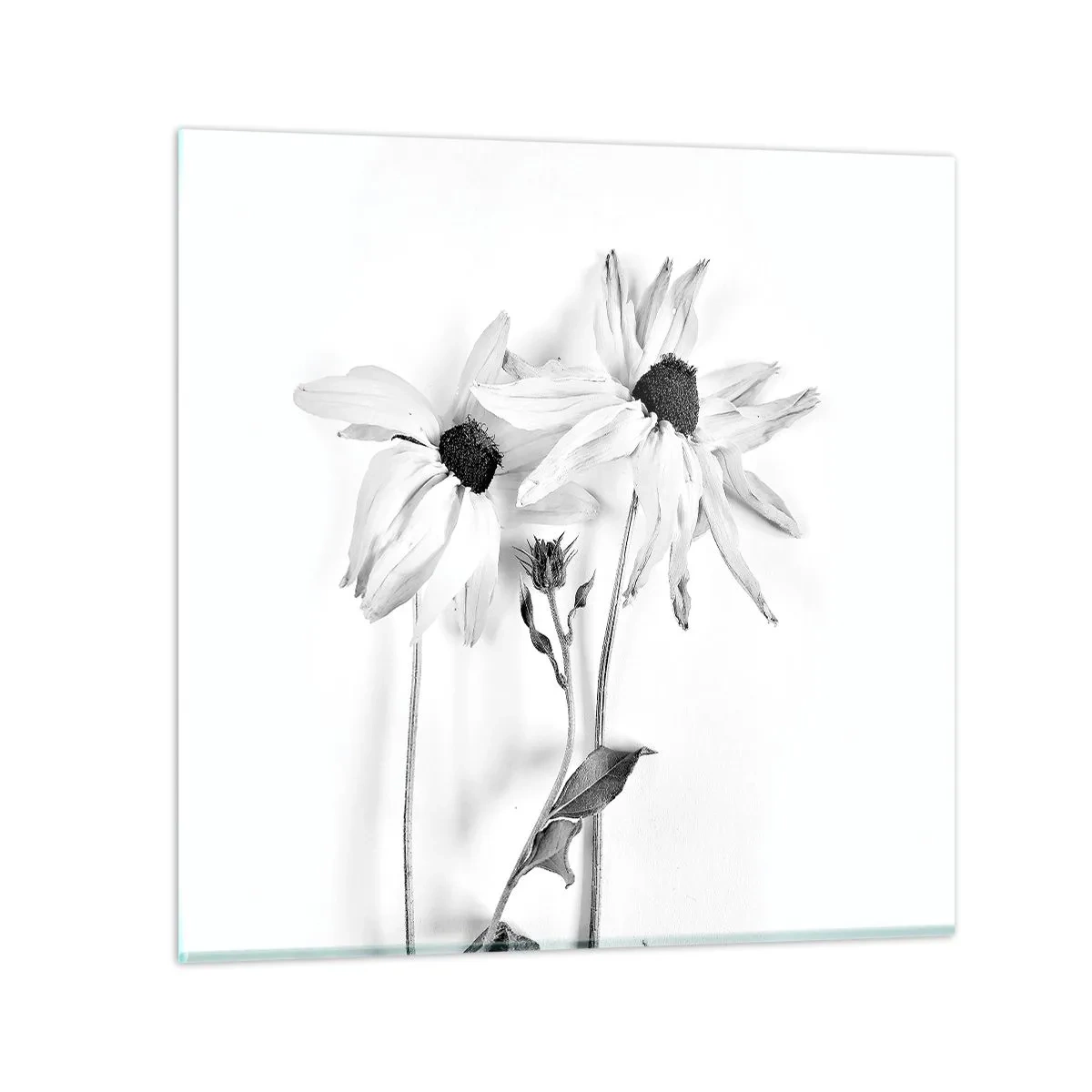 Obraz na skle - Nikdo nechce být sám - 60x60 cm