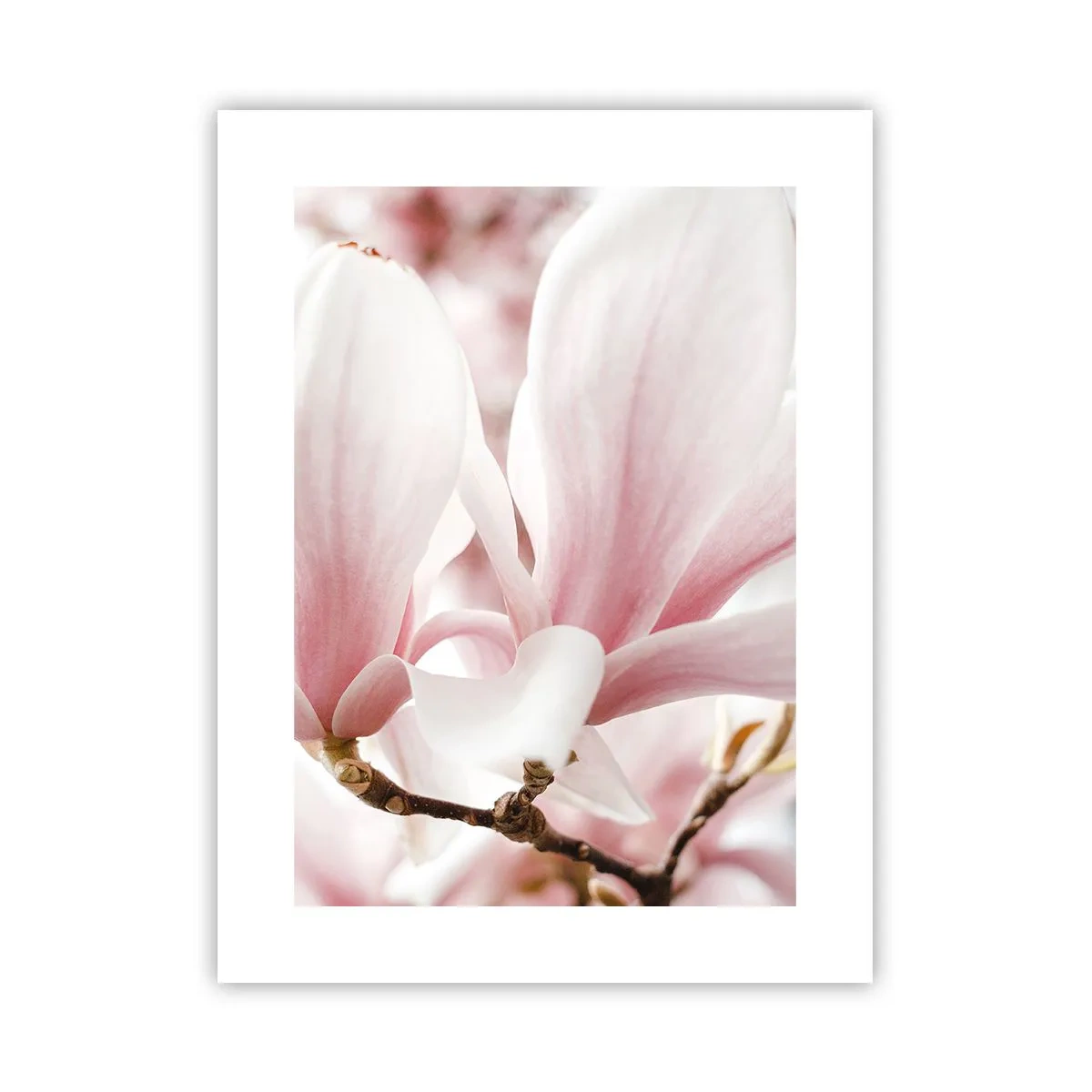 Plakát - Nesmírnost něžnosti - 30x40 cm