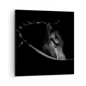 Obraz na plátně - Černý kníže - 60x60 cm