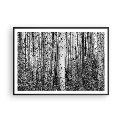 Plakát v černém rámu - Březová kolonáda - 100x70 cm