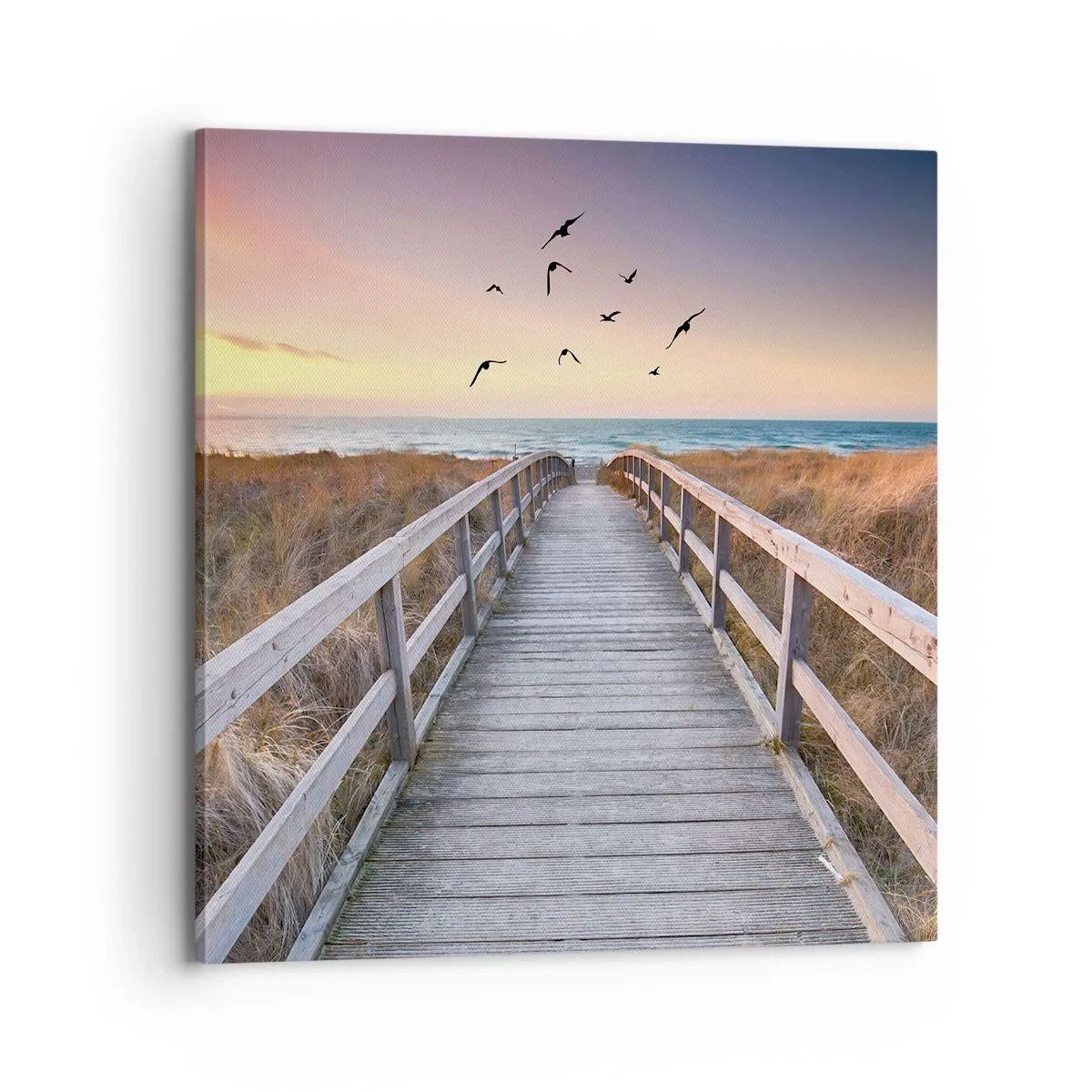 Obraz na plátně - Prostor pro vzestupy - 70x70 cm